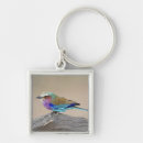 Search for around the world key rings Birds