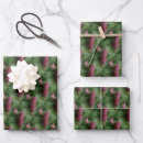 Search for pine cone wrapping paper Green