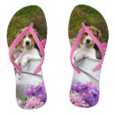Search for pet shoes Puppy