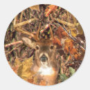 Search for camo deer stickers Buck