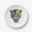 Search for license plates Florida international university