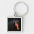 Search for vii key rings Photography