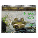 Search for frogs office supplies Pond