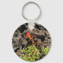 Search for paintbrush key rings Nature