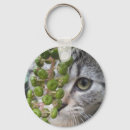 Search for kitty face key rings Kitten