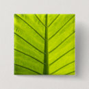 Search for veining badges Green