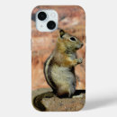 Search for ground squirrel Golden mantled ground squirrel