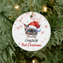 Search for siamese cat christmas tree decorations Watercolor