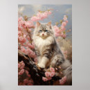 Search for ragdoll posters Feline