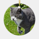 Search for grey and white cat christmas tree decorations Feline