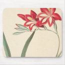 Search for botanical illustration mousepads Flower
