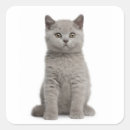 Search for weeks stickers Full length