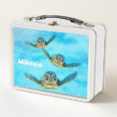 Search for sea turtle lunch boxes Ocean
