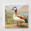 Search for water bird invitations Wildlife