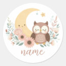 Search for whimsical owls stickers Nature