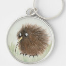 Search for kiwi key rings Nature