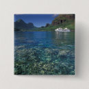 Search for polynesia badges Bay