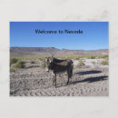 Search for nevada postcards Welcome