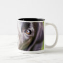 Search for animal body part mugs Anticipation