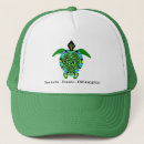 Search for turtle hats Wildlife