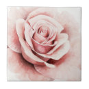 Search for rose tiles Flower