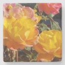 Search for garden photography kitchen dining Roses