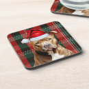 Search for pitbull coasters Pittie