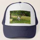 Search for charlie hats Pet