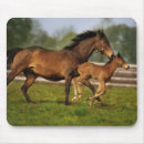 Search for horses galloping mousepads Thoroughbred