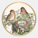 Search for songbird stickers Nature