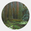 Search for redwoods national park stickers Usa