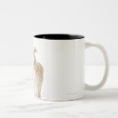 Search for munchkin mugs Cute