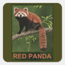 Search for red panda stickers China
