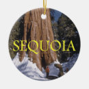 Search for sequoia national park christmas tree decorations Camping