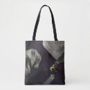 Search for asteroids bags Science