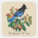Search for jays stickers Vintage