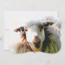 Search for ewe invitations Farms