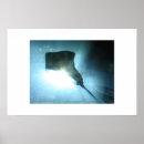 Search for stingray art Ocean