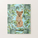 Search for lion puzzles Wild