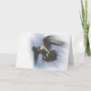 Search for peregrine cards Raptor