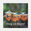 Search for green tree frog magnets Cute