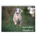 Search for australian shepherd calendars Pet