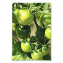 Search for kitchen garden art Nature