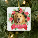 Search for first pet supplies Keepsake