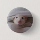 Search for rat badges Rodent