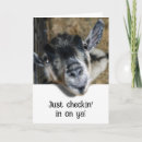 Search for goat cards Farming