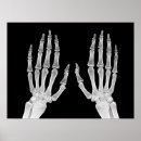 Search for skeleton anatomy posters Biology