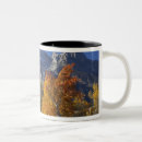 Search for mountain range mugs Colour
