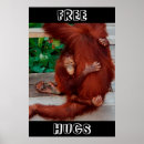 Search for borneo posters Orangutan
