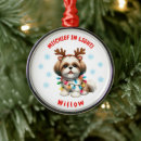 Search for shih tzu christmas tree decorations Watercolor